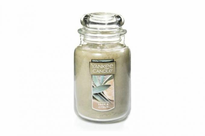 Yankee Candle Sage & Citrus Duftende, klassisk 22oz stor krukke Single Wick Candle, over 110 timers brenntid