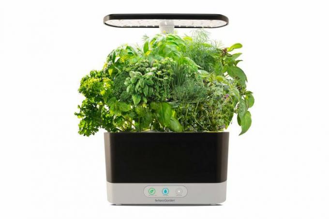 AeroGarden Harvest med Gourmet Urtefrø Pod Kit