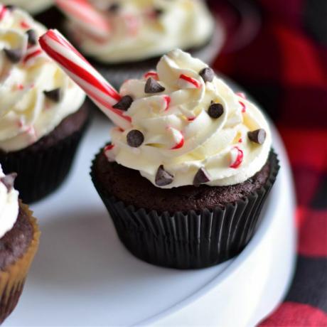 Peppermint Mokka Cupcakes