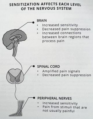 Kilde: 'Sunbreak: Healing the Pain No One Can Explain' av Shana Johnson M.D.